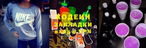 шишки Вяземский