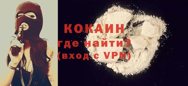 шишки Вяземский