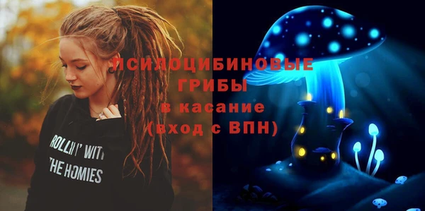 шишки Вяземский