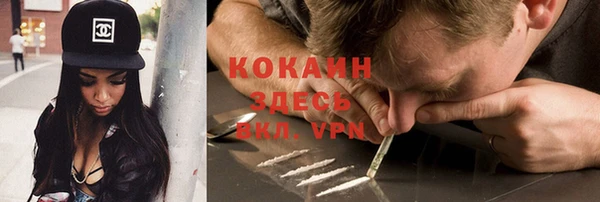 шишки Вяземский