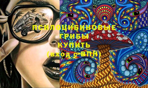 шишки Вяземский