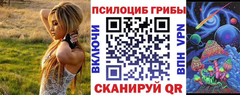 Псилоцибиновые грибы мухоморы  купить   мега рабочий сайт  Лениногорск 