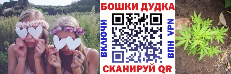 хочу наркоту blacksprut ссылки Бошки марихуана OG Kush Лениногорск